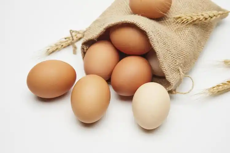 白底营养鸡蛋背景图片