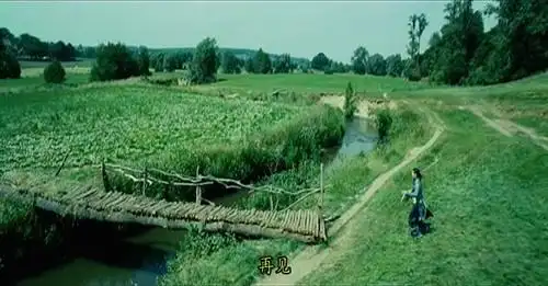 《雏菊》:国际刑警和杀手爱上同一个女孩:温情 唯美