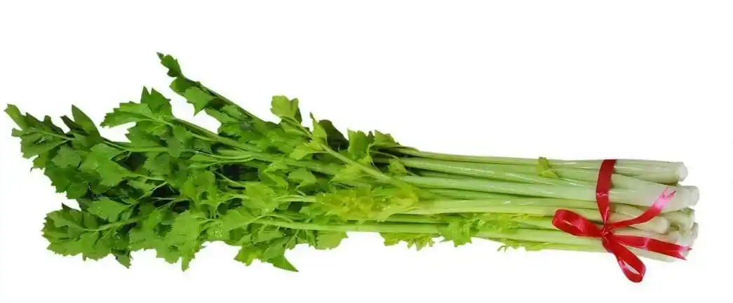 蔬菜种子 泰国四季黄心芹菜 香芹 芹菜 香味浓高产抗热耐寒 5g/包