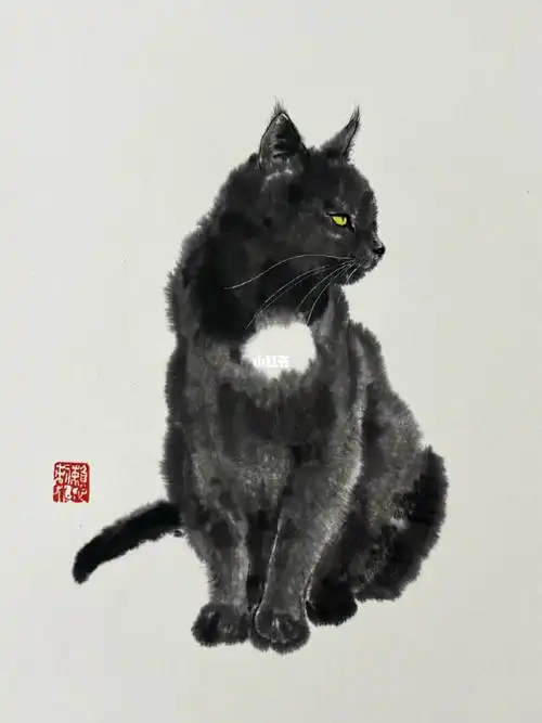 国画猫咪水墨写意画黑猫
