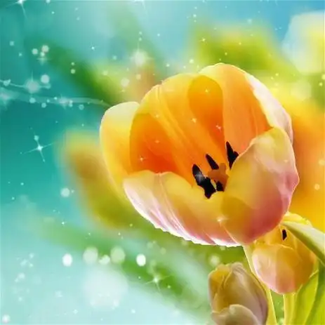 唯美头像花草头像图片大全唯美