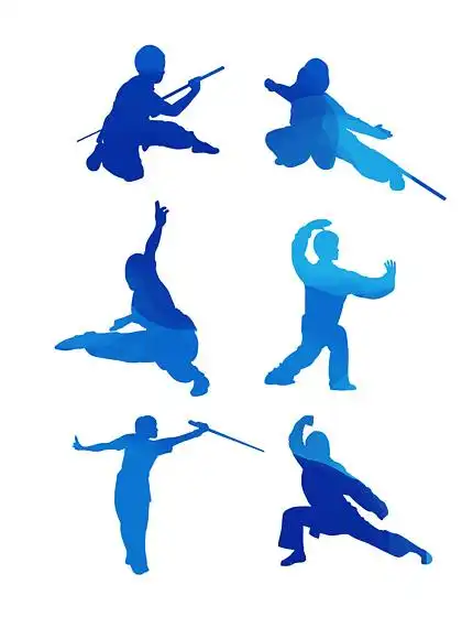 矢量武术 i>动 /i> i>作 /i> i>动 /i>态剪影