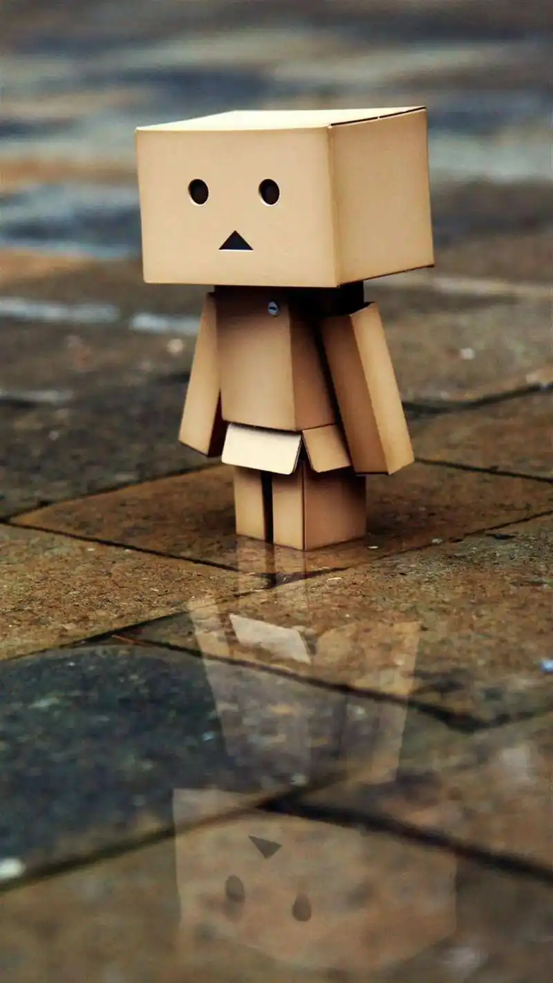 最爱的纸盒人我叫他木头人