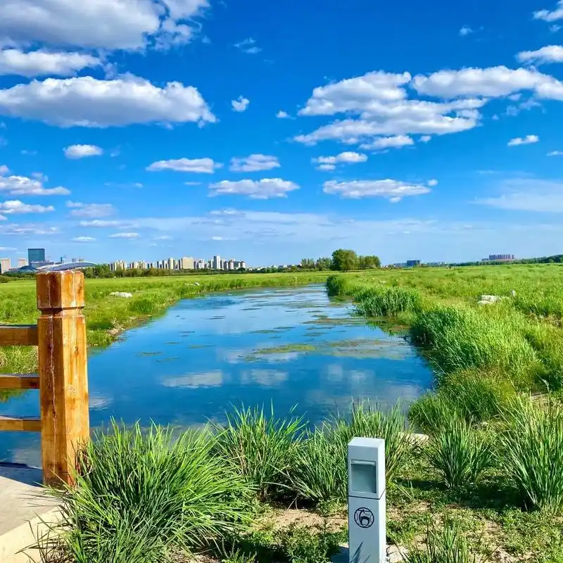 旅行|包头-赛汗塔拉城中草原 全亚洲最大的城中湿地草原 园中有各种