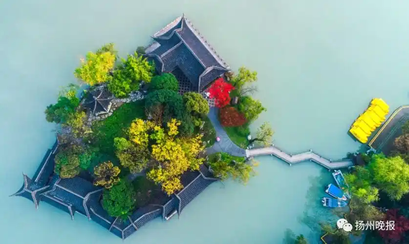 美爆了!这才是扬州最美的秋景大片,看一眼,惊艳一年