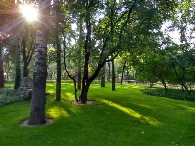 夏日情怀 博山公园