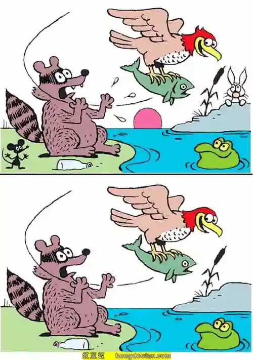 10张彩色的有趣的找不同益智游戏动物图片免费下载-红豆饭小学生简笔