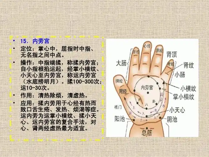 小儿推拿常用穴位ppt