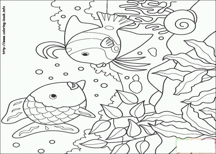 卡通小鱼图片简笔画图片水中游的小鱼怎么画 吐泡泡小鱼简笔画图片