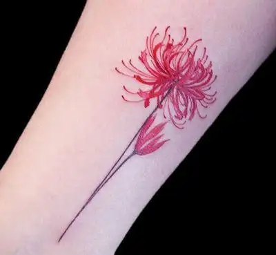 12张小腿曼珠沙华纹身图案彼岸花