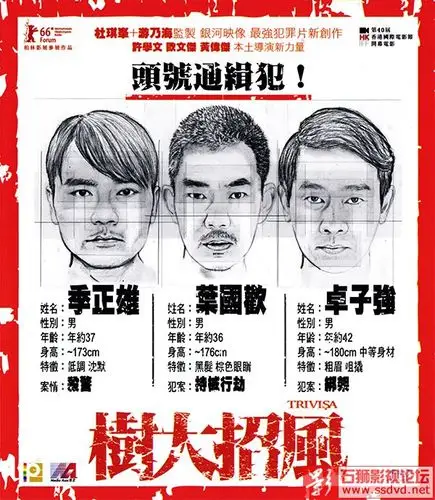 [蓝光原盘][香港][动作][2016][树大招风][港版原盘 国粤双语 中英文