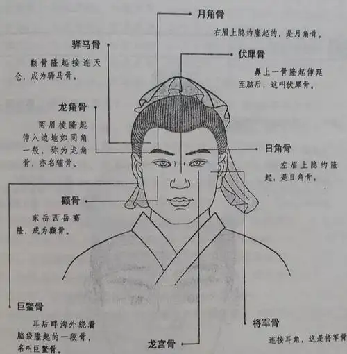 头生九龙骨早晚必显贵啥意思老祖宗的识人术还准不准