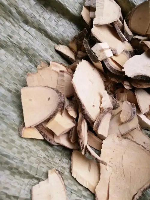 山枝根 统货 产地 江西省