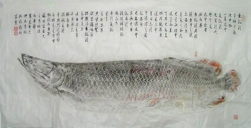 钓鱼圈的新时尚,将活鱼拓画成为一种艺术