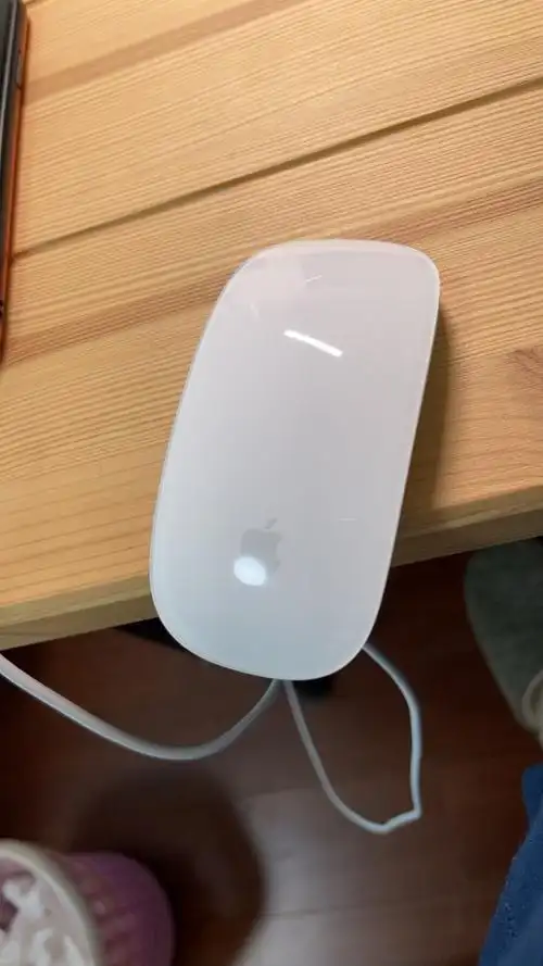 apple magic mouse/妙控鼠标 2代 - 银色 适用macbook 无线鼠标晒单图