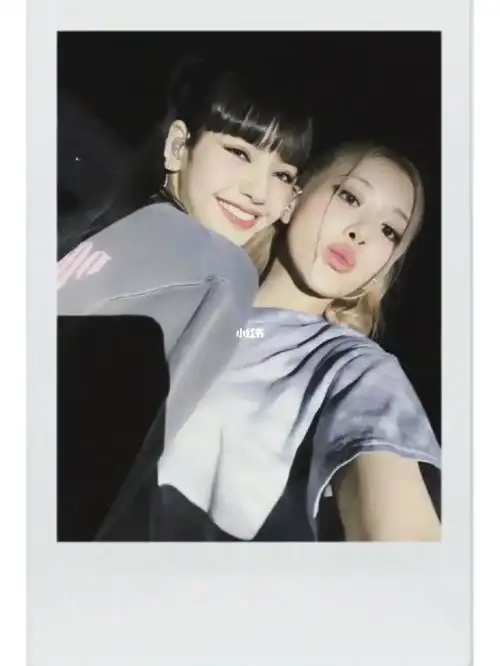 每秒都值得记录  #rose #lisa  #五花肉cp