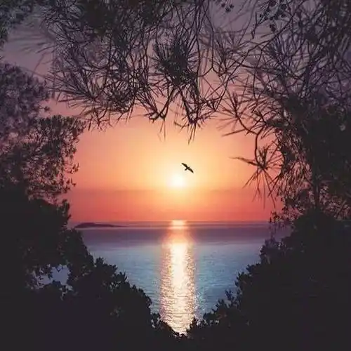 中老年头像大全霸气意境男风景的微信头像