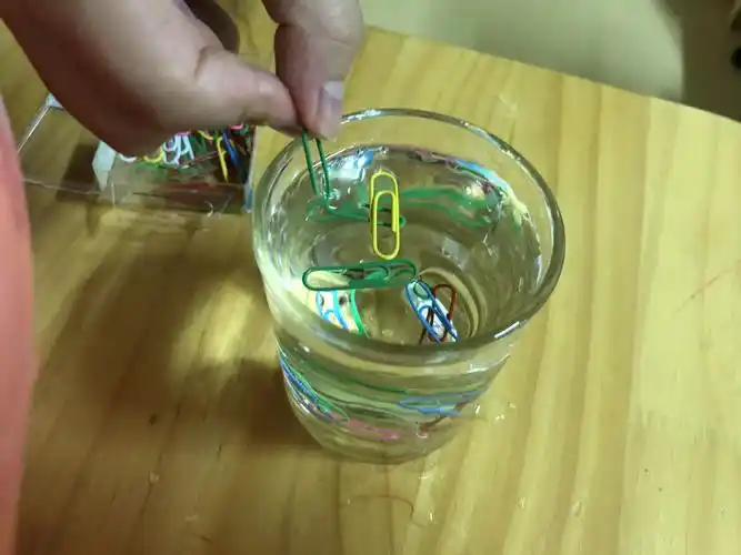 科学小实验:漂浮的回形针(材料:水杯一个,回形针若干)