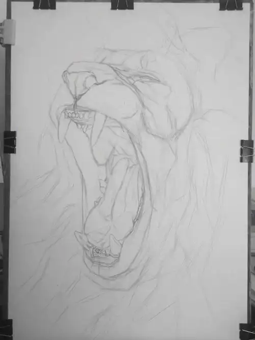 素描雄狮绘画过程