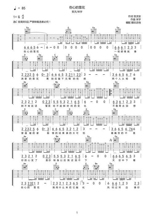 笑天宋宇伤心的雪花吉他谱