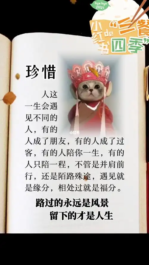 珍惜眼前人_人生感悟_情感文字_情感_励志鸡汤