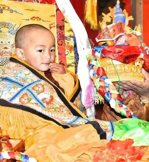 谁是下一任转世灵童,活佛们并不关心