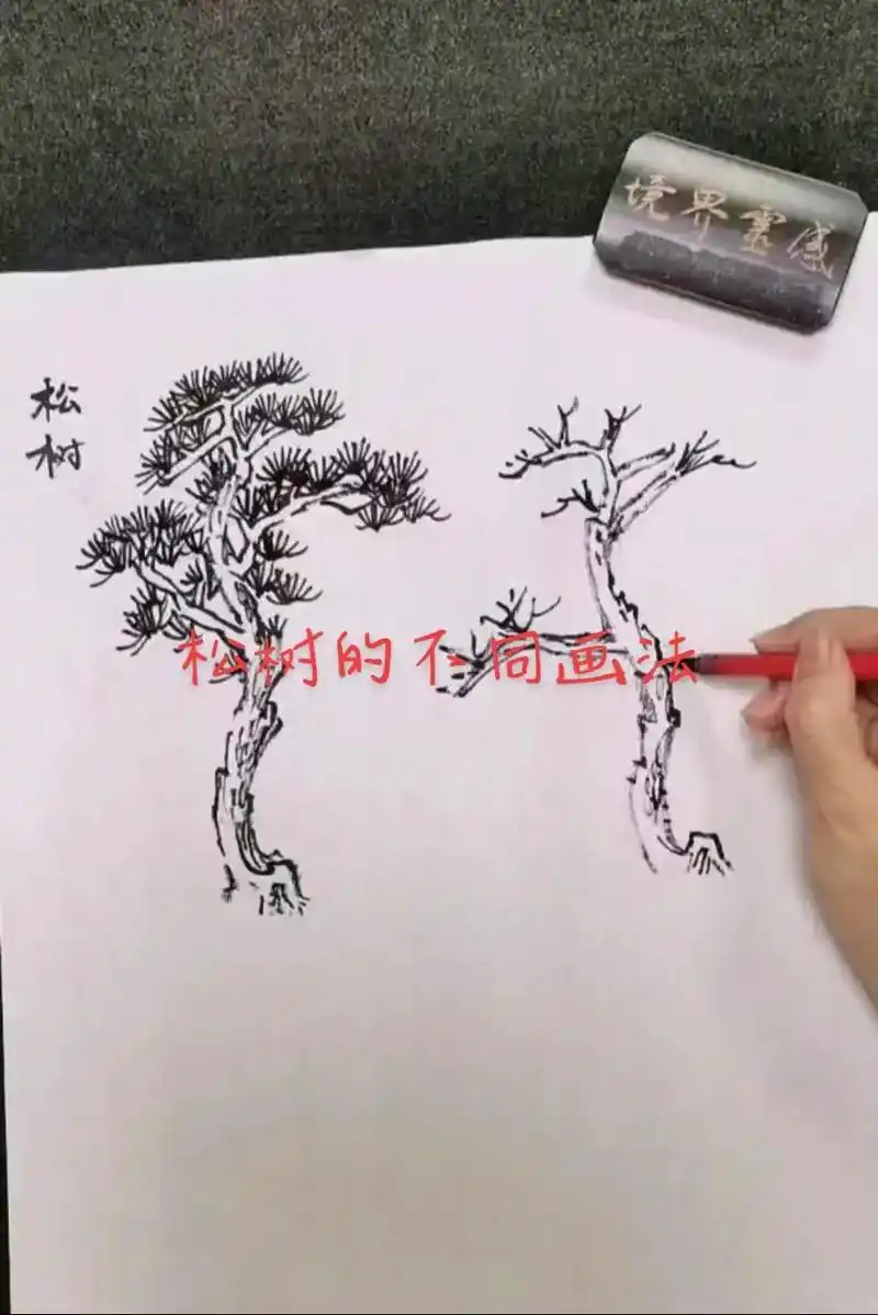 松树的不同画法分享#原创作品 #国画教程 #零基础教学 - 抖音
