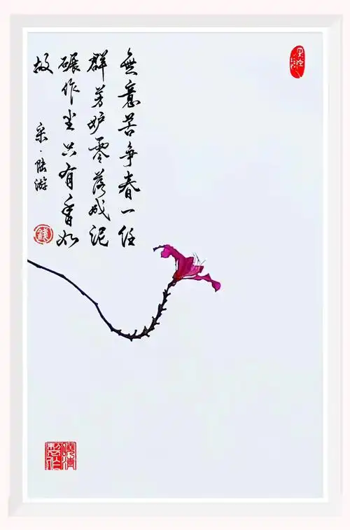 2020早上好(1—3月)