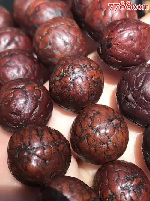 藏传凤眼菩提108佛珠