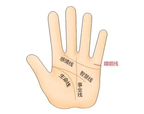 婚姻线分三叉(注定单身一辈子的手相)-卜安居