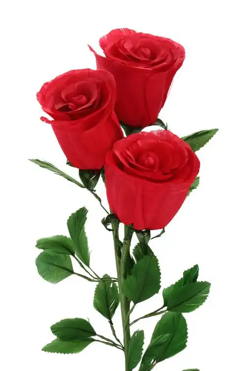 半岛城邦又多一位热心版主 恭喜"王家妈妈"上任!