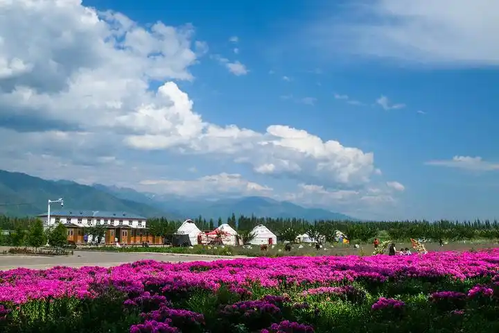 那拉提小镇位于新疆伊犁哈萨克自治州直属新源县的伊犁河谷东端,这里