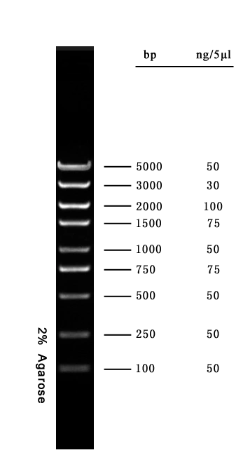 首页产品中心分子生物学核酸电泳markerdl 5000  dna marker中文购物