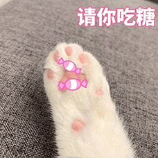 萌宠gif喵星人gif请你吃糖gif猫爪gif呆萌gif可爱gif