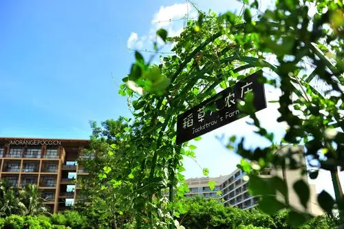 2012-9-5 亚龙湾红树林葱油花_稻草人农庄入口.