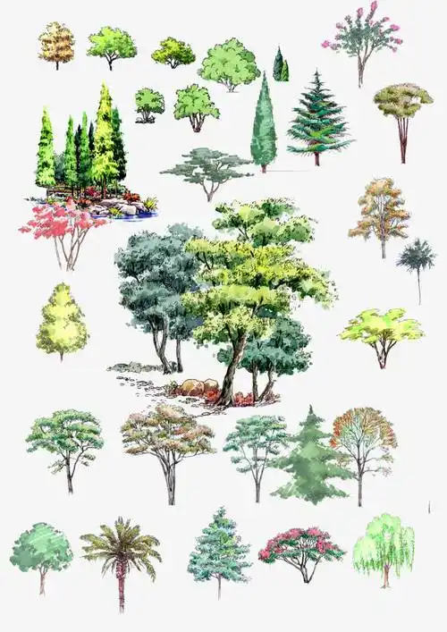 手绘, 立面素材, 树