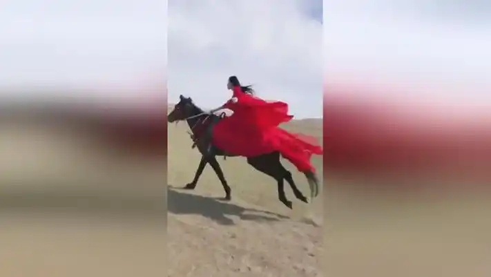 古装小姐姐骑马在草原飞奔,太帅了!网友:这才是拥有自由的人