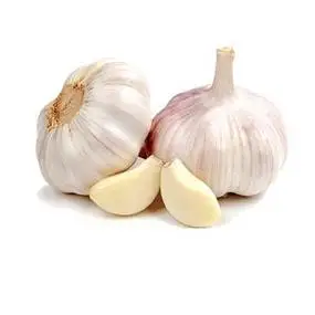import 100% certified pure & natural organic garlic oil in