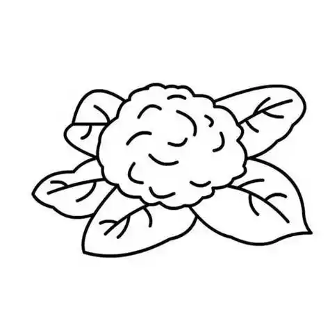 卡通蔬菜菜花简笔画