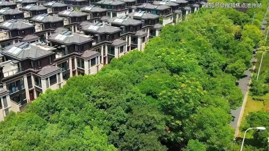 顾村_主城_资源