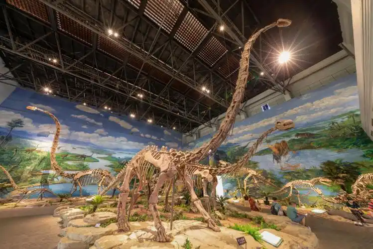 自贡恐龙博物馆