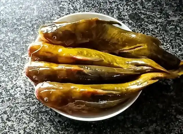 肉质鲜嫩昂丁鱼烧莴笋的家常做法