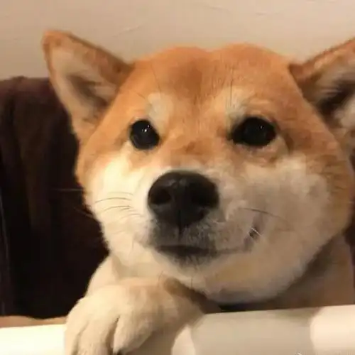 形容友情长久文艺句子 友情如茶句(形容友情如茶的句子)