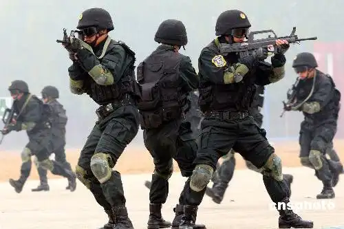 中国将与多国合作打击东突确保国庆安全