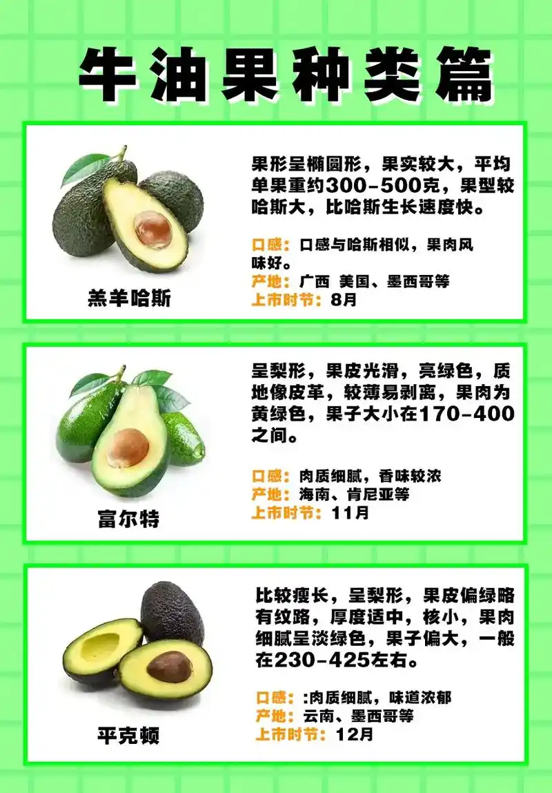 一分钟了解牛油果种类篇.牛油果又名油梨,鳄梨,酷梨,奶油果, - 抖音