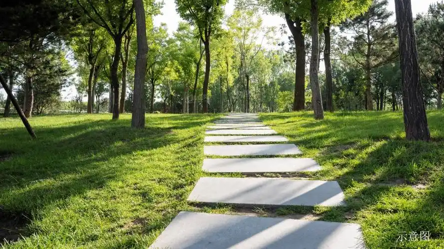 市政绿地公园(规划中)