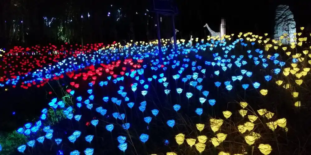 渭河生态公园三:灯光秀夜景 18一9