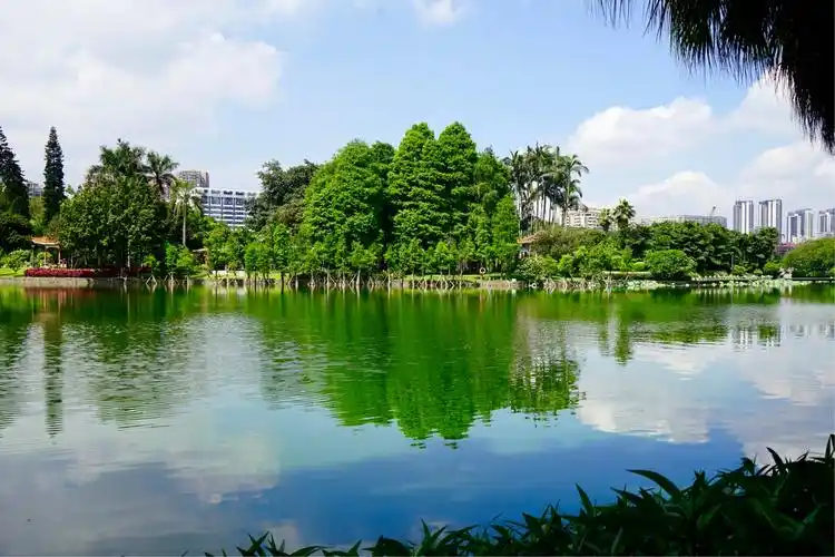 广州流花湖景色