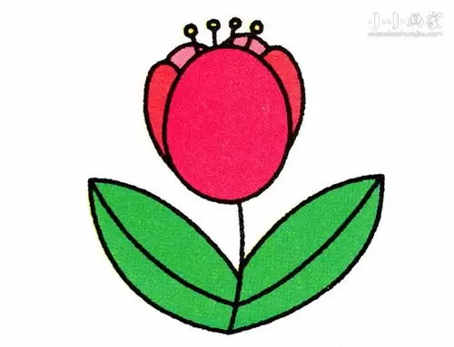 彩色郁金香花简笔画画法图片步骤