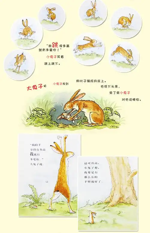 猜猜我有多爱你 幼儿启蒙教育书籍 幼儿园小中大班儿童绘本宝宝早教